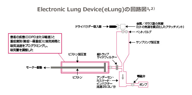 eLung呼吸シミュレーション
